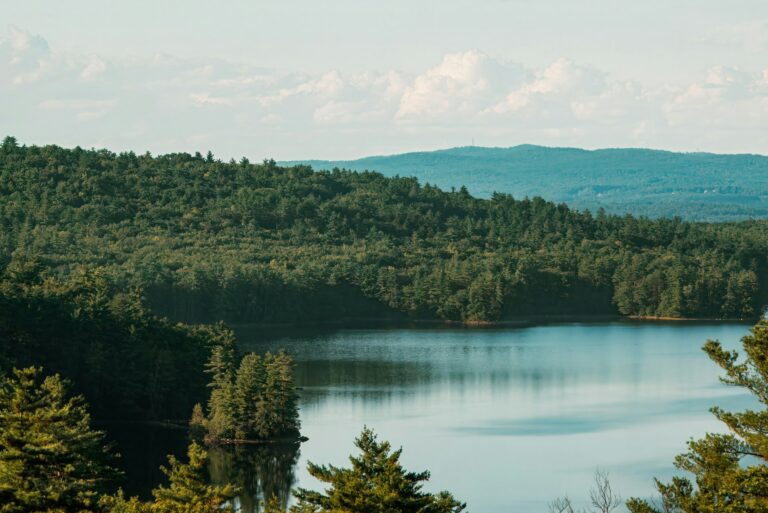 New Hampshire Privacy Act: 101 – What You Need to Know