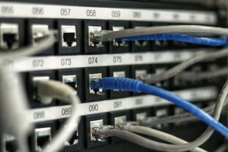 Blue network cables connected to network equipment